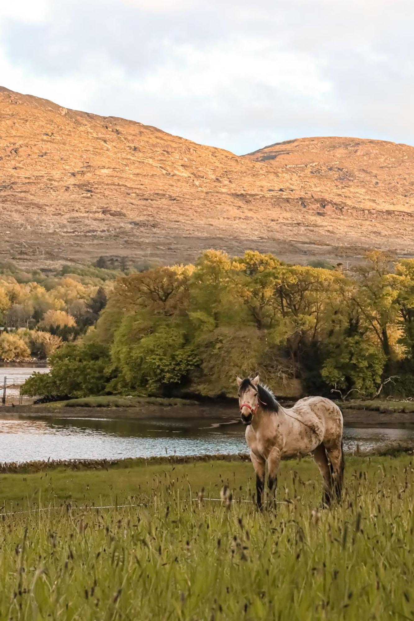 Park Hotel Kenmare Εξωτερικό φωτογραφία